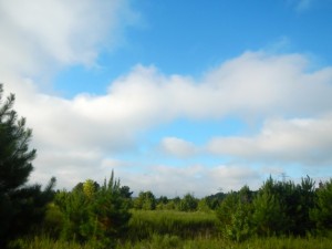 DSCN8274