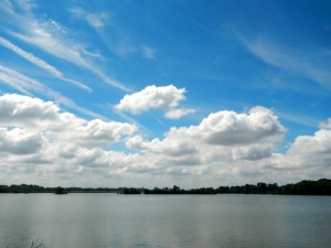 DSCN8302