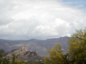 DSCN0590