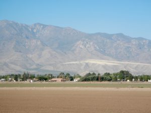 DSCN0937